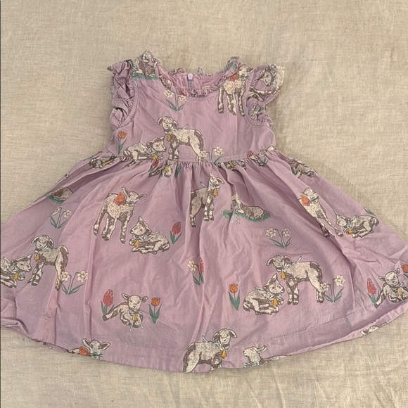 Pink Chicken Spring dress
